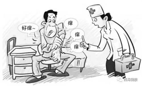 广东人如何应对代谢异常的牛皮鲜并发症